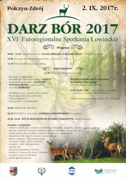DARZ-BÓR-2017-plakat-01
